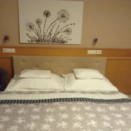 Hotel Zsida